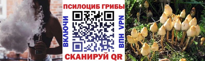 Псилоцибиновые грибы ЛСД  кракен рабочий сайт  площадка наркотические препараты  Среднеколымск 